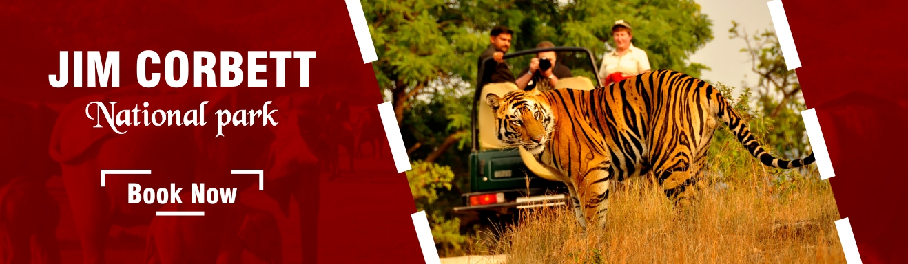 Jim Corbett Wildlife special